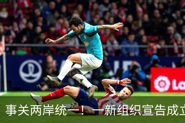 事关两岸统一！一新组织宣告成立，台残存＂邦交国＂火速对华表态