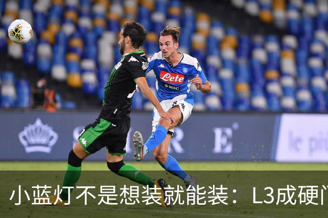 小蓝灯不是想装就能装：L3成硬门槛，L2车辆被明确禁止