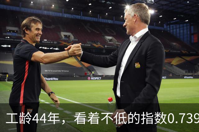 工龄44年，看着不低的指数0.7397， 湖北荆州退休，养老金能达不到一年100元吗？