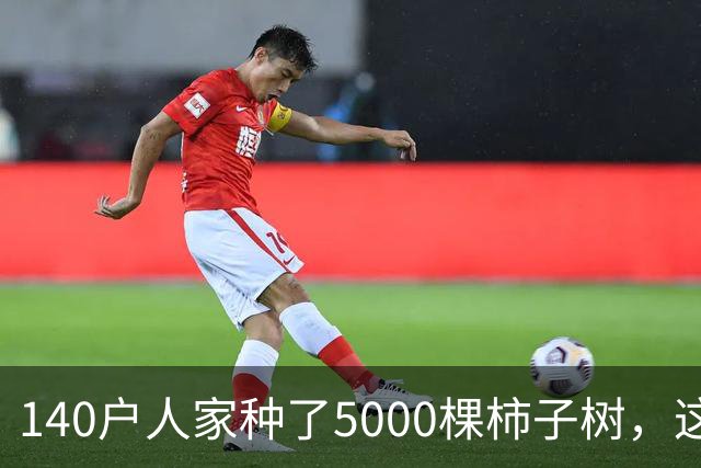 140户人家种了5000棵柿子树，这个浙江小村国庆6天来了8万人