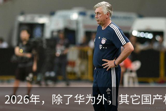 2026年，除了华为外，其它国产机都集体“凉凉”？