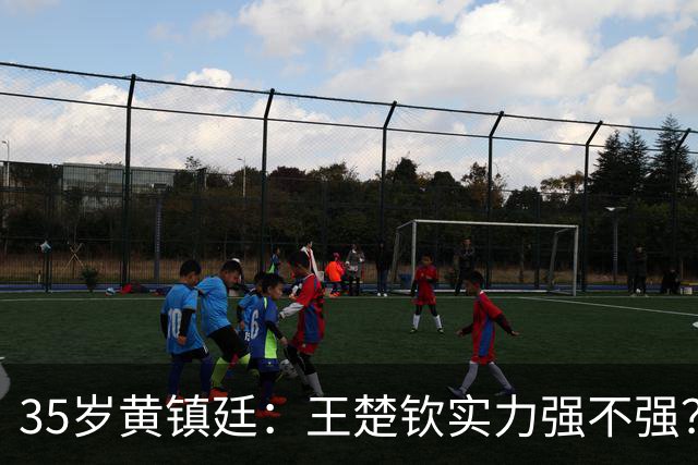 35岁黄镇廷：王楚钦实力强不强？你们自己衡量！樊振东张继科太强了